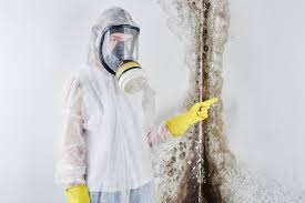 Brevard, NC Mold Removal & Remediation Company